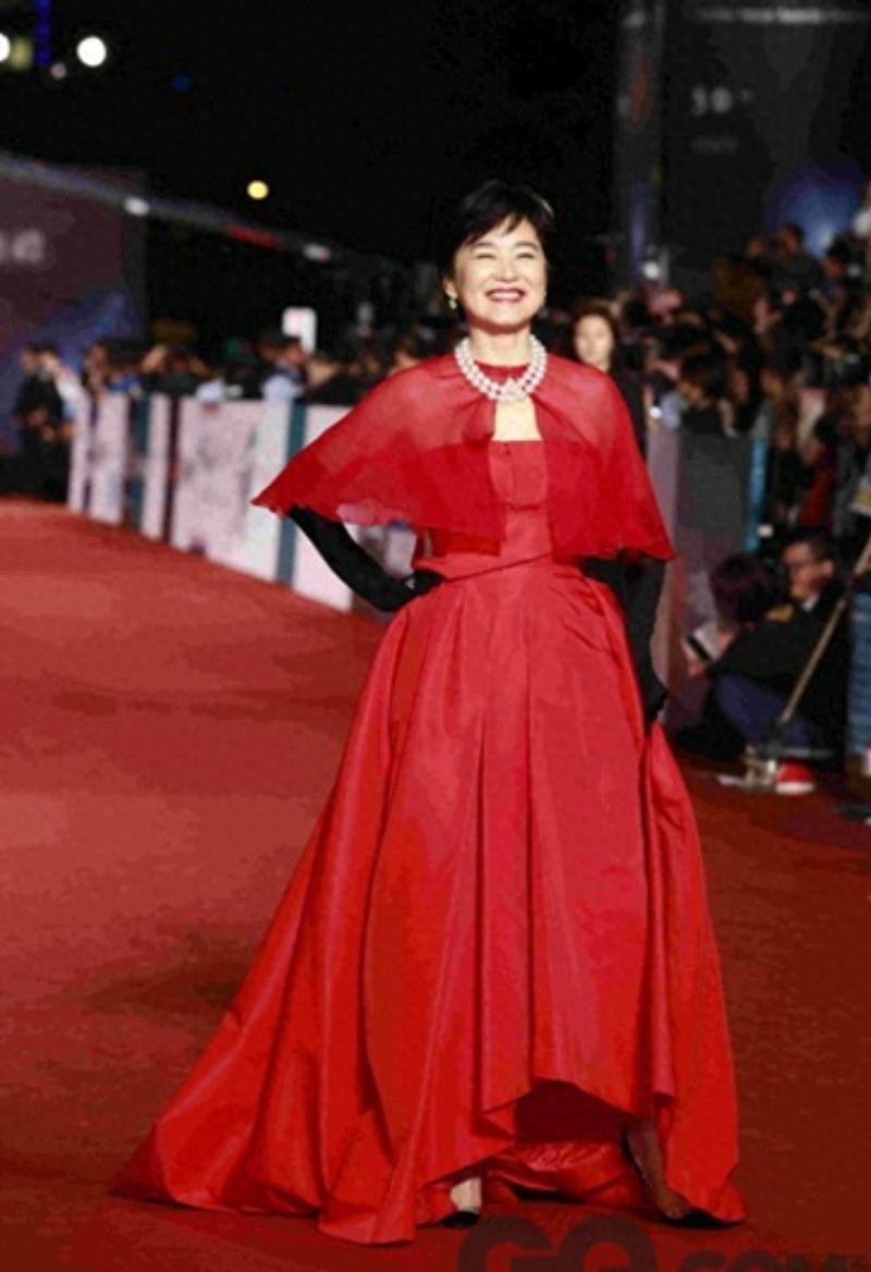 林青霞的作品对社会文化的影响_社会老龄化带来的影响_林青霞文艺片的电影