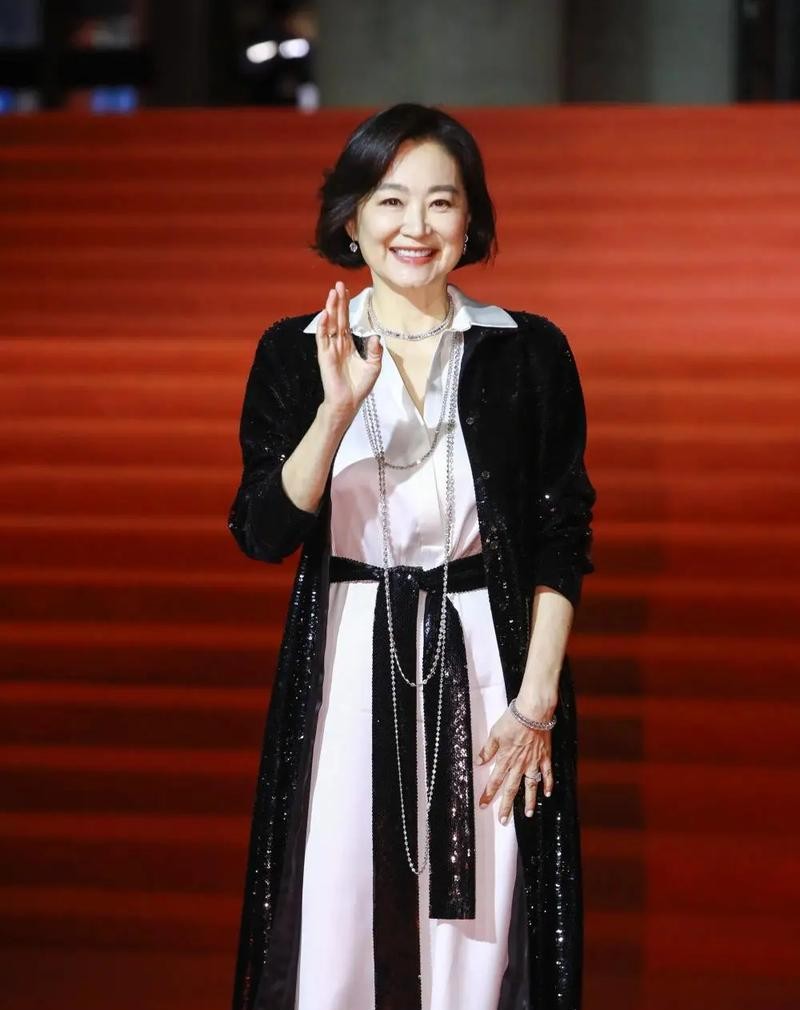 社会老龄化带来的影响_林青霞的作品对社会文化的影响_林青霞文艺片的电影