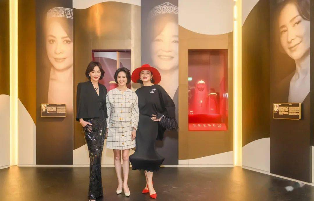 陈曼作品林青霞_林青霞的作品对社会文化的影响_社会对一个人的影响