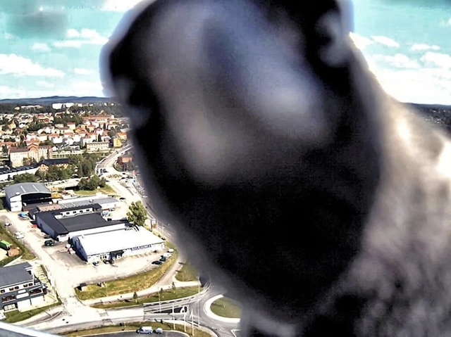 交通监控摄像头原理_交通探头监控器_如何利用TP-Link摄像头进行交通监控？