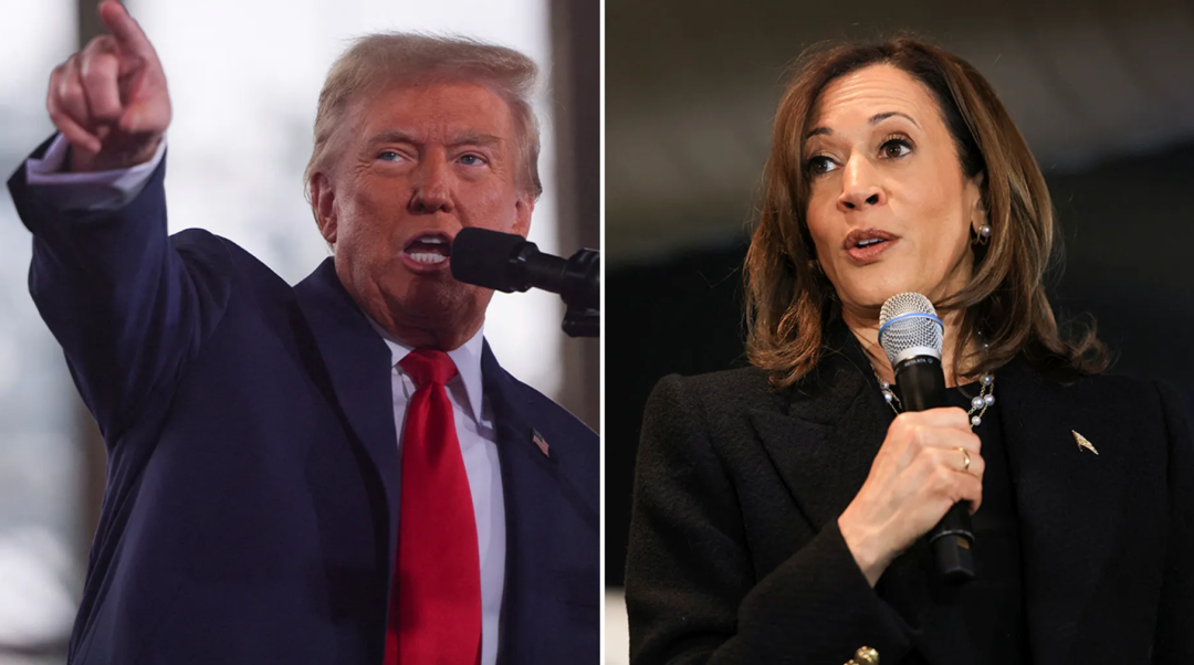 11月4日,特朗普在北卡罗来纳州罗利举行集会,随后哈里斯在宾夕法尼亚州斯克兰顿与支持者发表讲话。