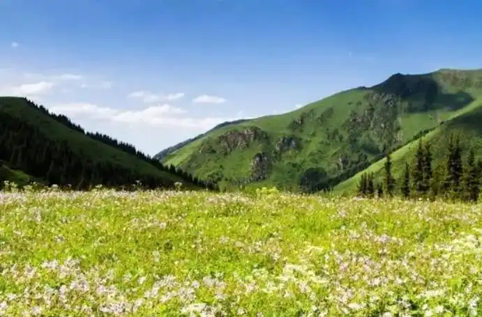 欧意交易所如何保障用户资金安全_欧意交易所如何保障用户资金安全_欧意交易所如何保障用户资金安全