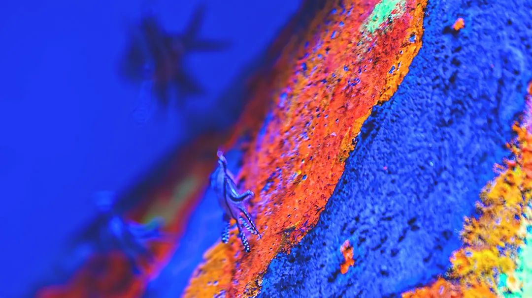 透视虚拟货币在新兴市场的发展机遇：分析地方产权与政策环境_透视虚拟货币在新兴市场的发展机遇：分析地方产权与政策环境_透视虚拟货币在新兴市场的发展机遇：分析地方产权与政策环境