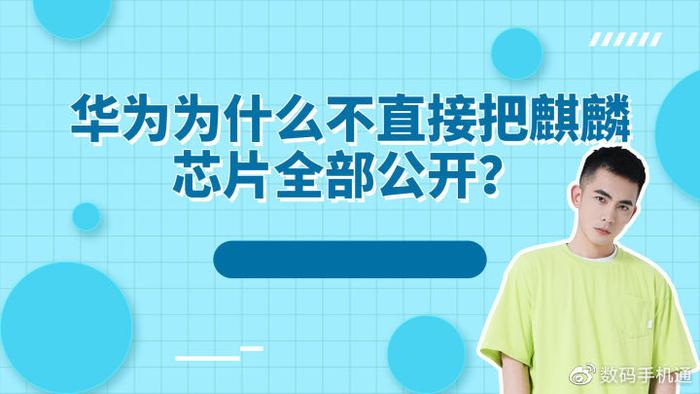 关于华为芯片问题_华为的安全芯片与数据保护策略_华为芯片应对方法