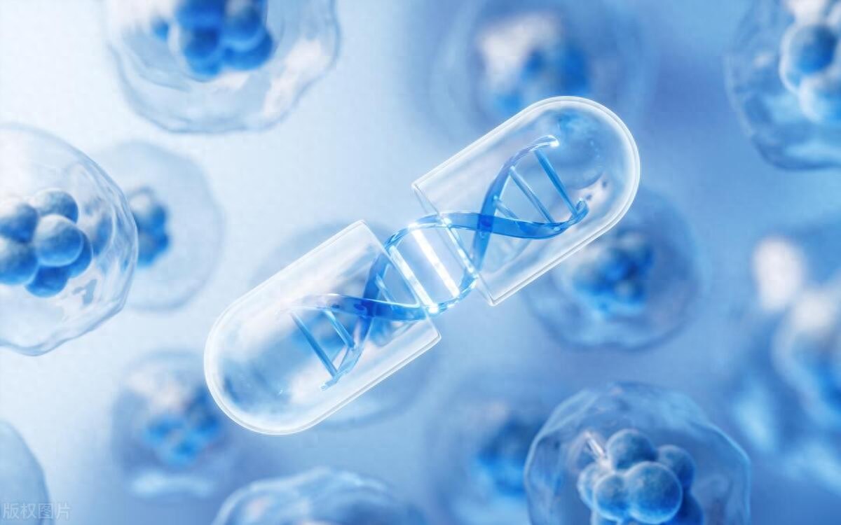 选择数字货币的法律与合规考虑_数字货币的法律规制_法律对数字货币价值怎么认定