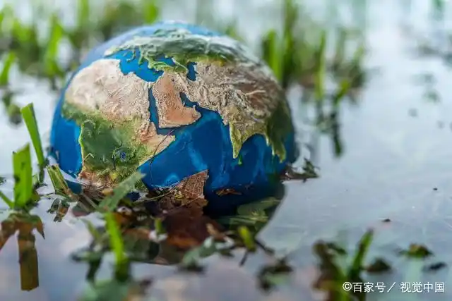 乡村振兴的货币政策_探讨数字货币如何支持乡村振兴战略:改善农村经济与生活条件_乡村振兴战略新农村改变