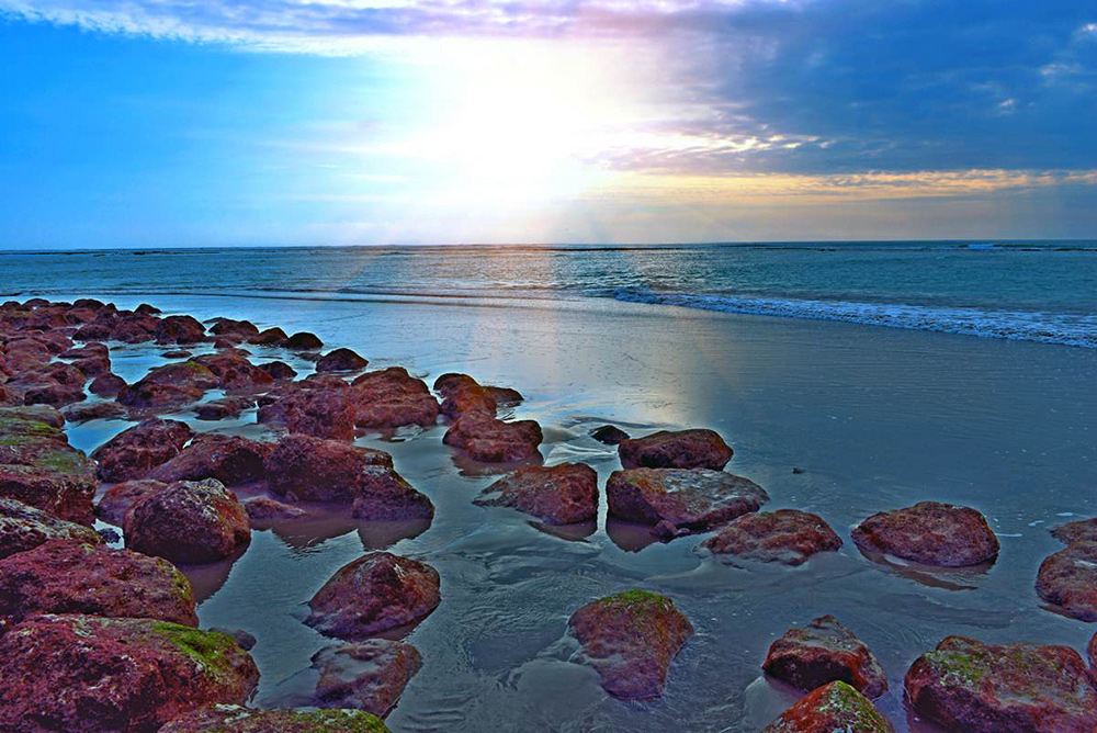 亮点纷呈_亮点茶楼_亮点