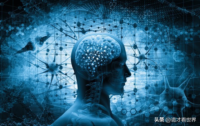 公益的社会意义和价值_社会公益事业的意义_钟睒睒的公益理念与社会贡献