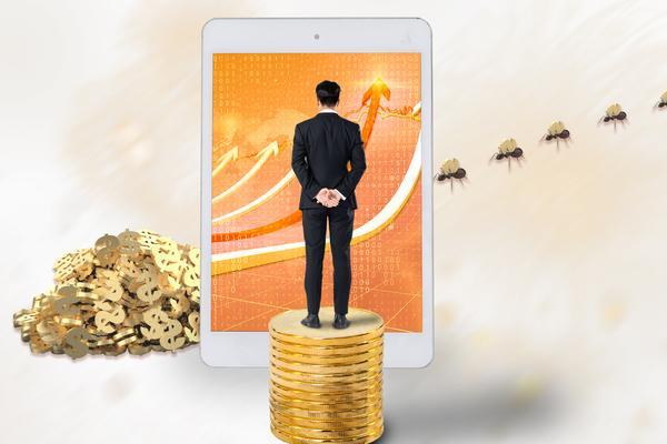 《探究虚拟货币的特征及其对金融市场的影响》 图2