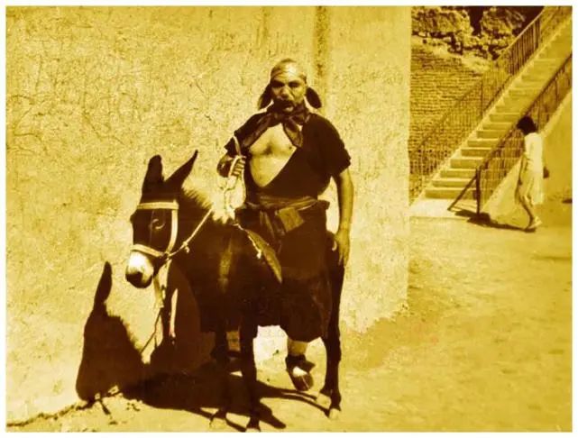 朱琳的经典片段与回忆_片段回忆经典朱琳在线阅读_朱琳经典电影