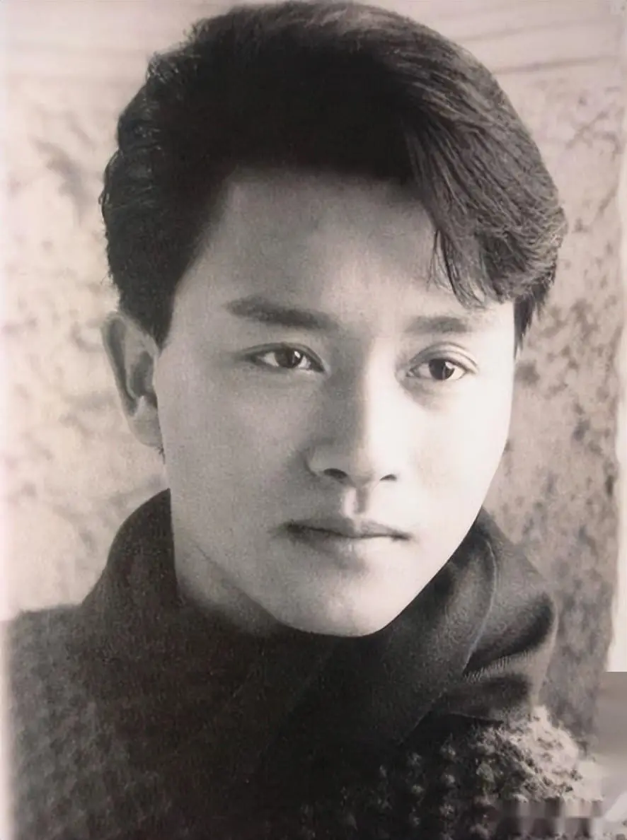 张国荣公众心中形象大使是谁_众星眼中的张国荣_张国荣在公众心中的形象