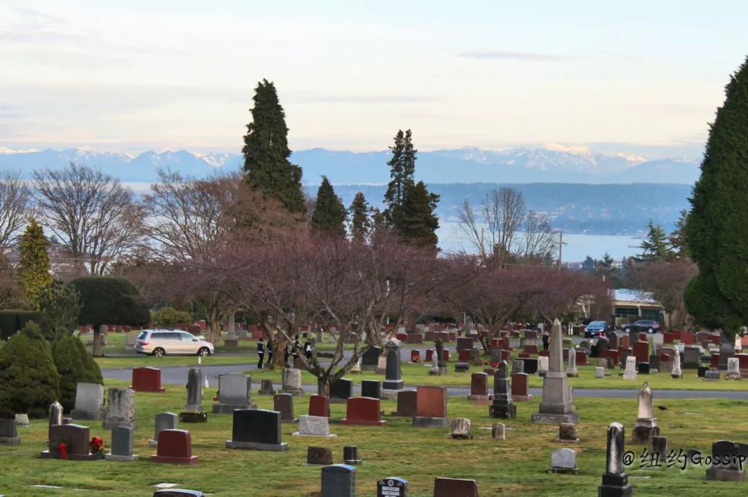 众星眼中的张国荣_张国荣在公众心中的形象_张国荣公众号